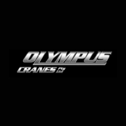 Olympus202